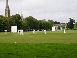 Image result for Amaranth Cricket Club