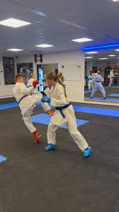 Image result for United Sport Karate