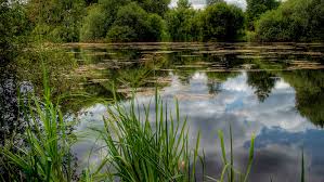 Image result for Grendon Lakes, Northants