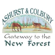 Image result for Ashurst WI*