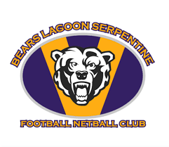 Image result for Bridgewater Netball Club