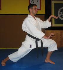 Image result for enpi dojo