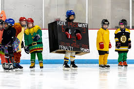 Image result for Adur Skater Hockey Club