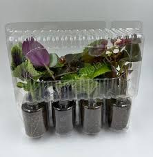 Image result for Конфетти d-23 Кашпо 2109020759412