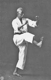 Image result for ENGLISH INTERNATIONAL ALLSTYLES TAEKWONDO