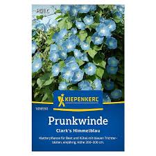 Image result for Prunkwinde