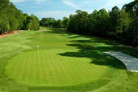 Image result for Blackley Golf Club