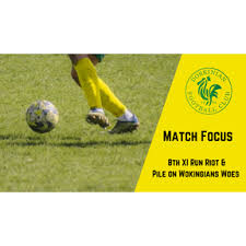 Image result for Old Wokingians Football Club