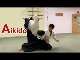 Image result for AikidoFlow