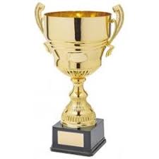 Image result for Worlingworth Cricket Club