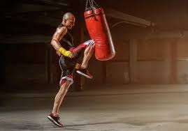 Image result for GFC Muay Thai Boxing