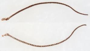 Attēlu rezultāti vaicājumam “Ancylis apicella”