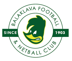 Image result for Flava Netball Club