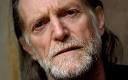 David Bradley: Hogwarts