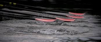 Image result for Row Caldecotte Rowing Club