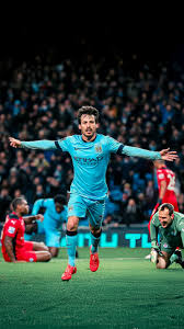 Image result for Silva L1 MidNite