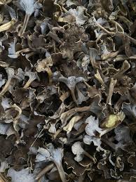 Attēlu rezultāti vaicājumam “Pseudocraterellus”