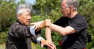 Image result for Salisbury Lau Gar Kung Fu Club