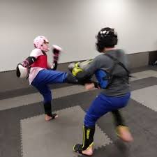 Image result for United Dojos Kickboxing