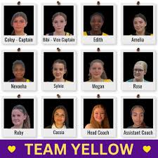 Image result for Flava Netball Club