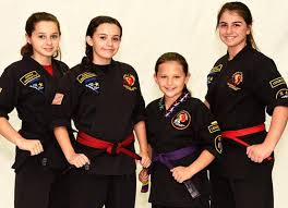 Image result for Hidden Dragon Karate-Do