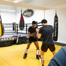 Image result for Revolution Dojo