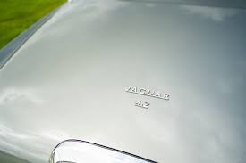 Image result for Warwick Gray 1965 Jaguar