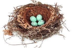 Attēlu rezultāti vaicājumam “nest”