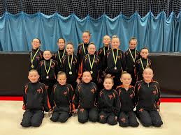 Image result for Swallows Of Helston Gymnastics Club