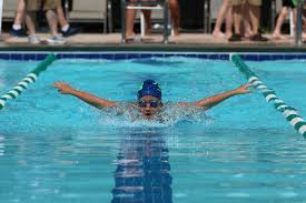 Image result for Black Country Barracudas Sub Aqua Club