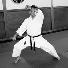 Image result for Mickleham Seiki Juku Karate Club