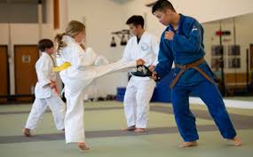 Image result for Professional  Martial Arts Academy
