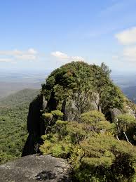 Image result for Atherton Devils