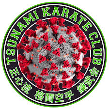 Image result for Tsunami Karate Club