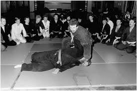 Image result for Bujinkan Dojo Seijitsu