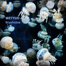 Attēlu rezultāti vaicājumam “Scyphozoa”
