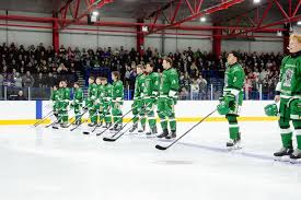 Image result for Basingstoke Bison Ice Hockey Club