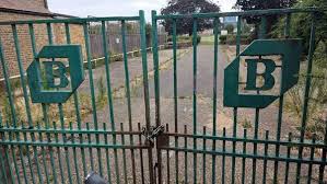 Image result for Swyncombe Cricket Club