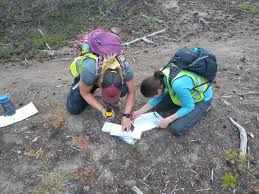 Image result for Wey Adventure Group