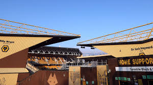 Image result for Molineux Netball Club