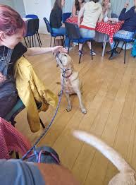 Image result for Rowledge Bowling Club