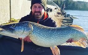 Image result for DRAYTON ANGLING CLUB
