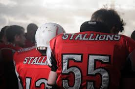 Image result for Staffordshire Stallions