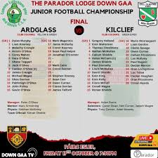 Image result for Ardglass Gfc