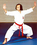 Image result for Nottingham Sankukai Karate