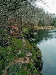 Image result for Annbank Angling Club