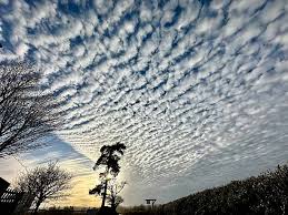 Attēlu rezultāti vaicājumam “altocumulus”