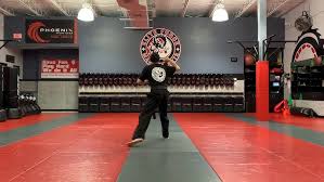 Image result for Elite Force Martial Arts