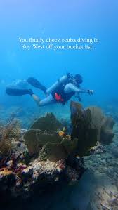 Image result for Southdown Divers