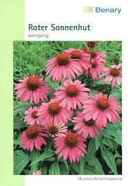 Image result for roter Sonnenhut